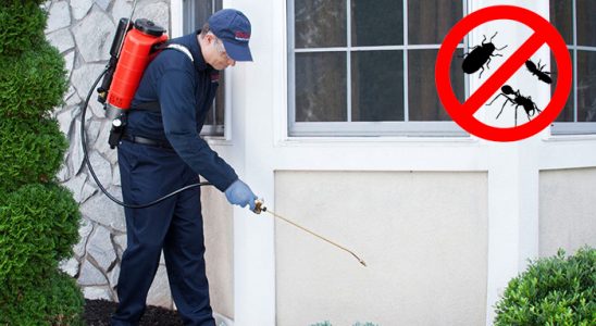 Yusufeli Haşere İlaçlama böcek ilaçlama ve haşere kontrolü — ilaclama-tr.com